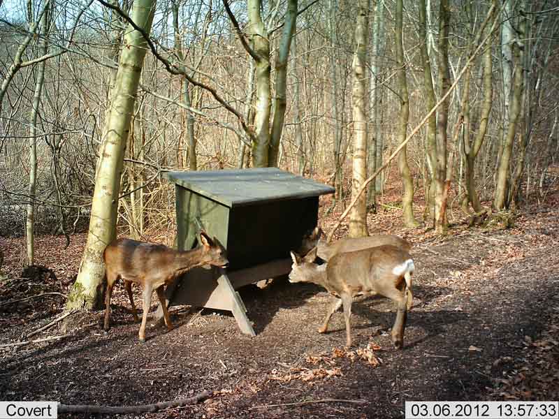3 dyr foderhus