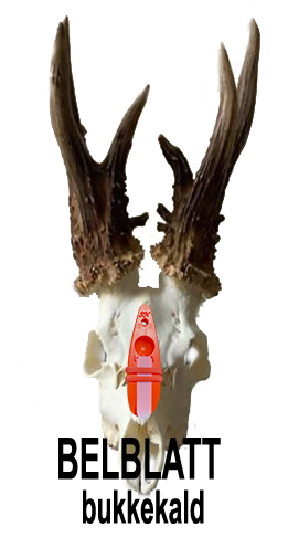 belblat bukkekal med trofæ.2