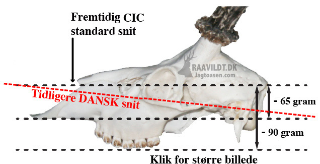 cic afskæring endelig copy copy