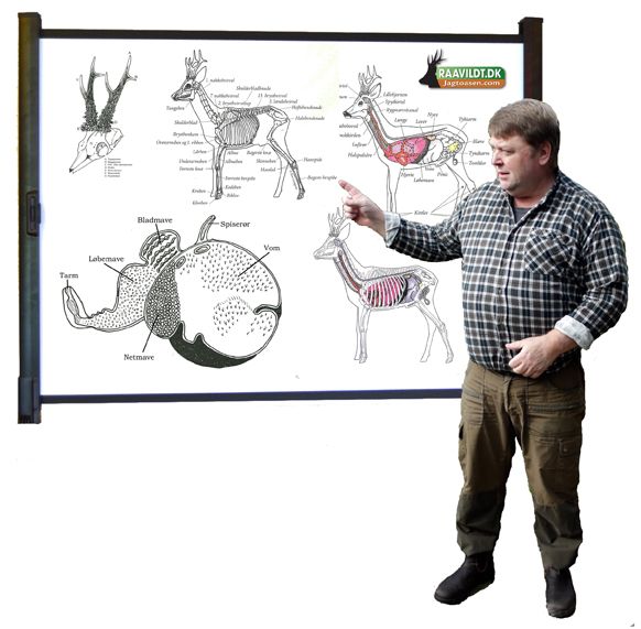 foredragsbillede kopi