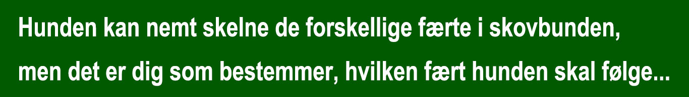 hunden kan nemt skelne