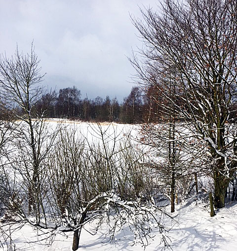 vinter