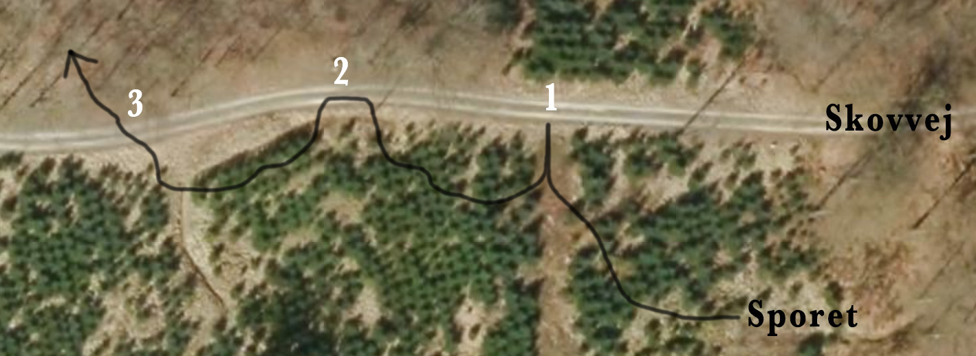 skovveje traening kopi