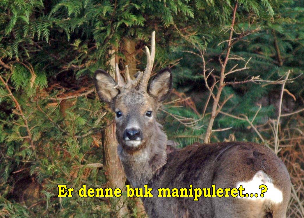 abnorm_buk_2006_tekst