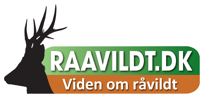 raavildt.dk viden om jagt logo